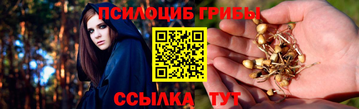 Кувандык  Псилоцибиновые грибы мицелий  закладка  Вход с VPN  Псилоцибиновые грибы мицелий 